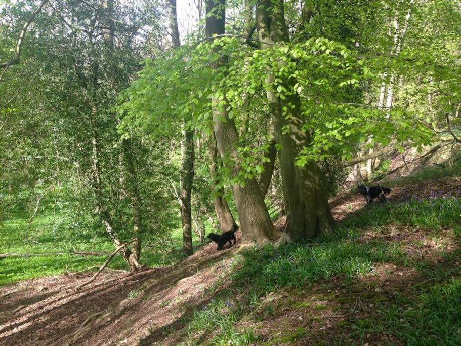 Bumblebee Cottage - Cosy Cottage In Area Of Outstanding Natural Beauty Hemel Hempstead Bagian luar foto